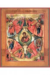 Икона Божья Матерь Неопалимая Купина