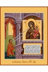 Икона Божья Матерь Нечаянная радость